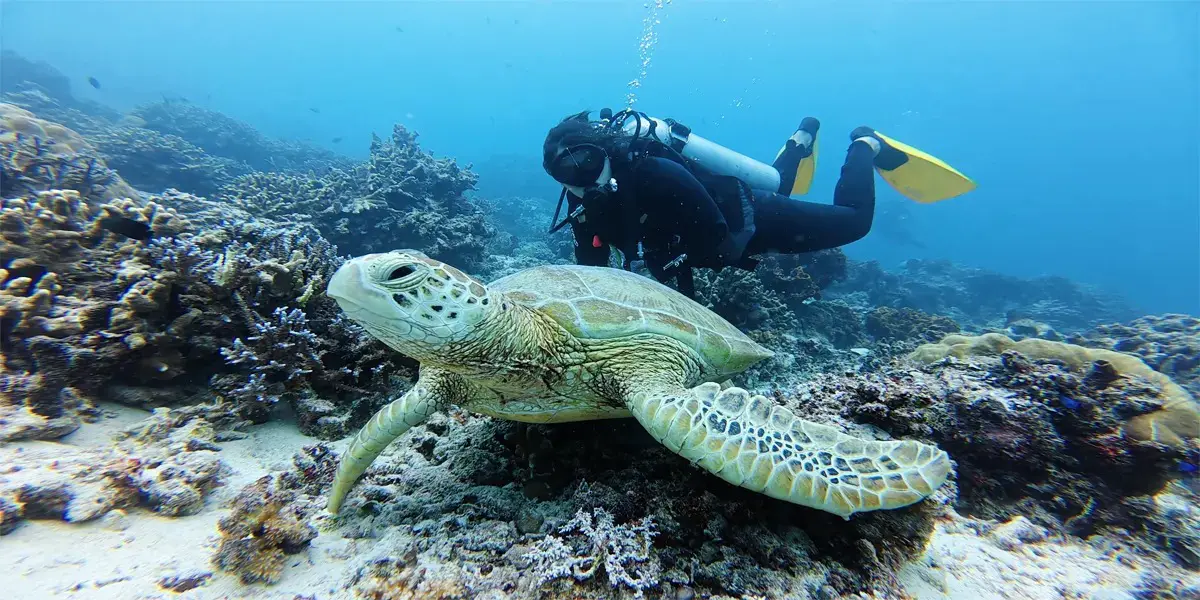 Derawan Islands Dive & Relax